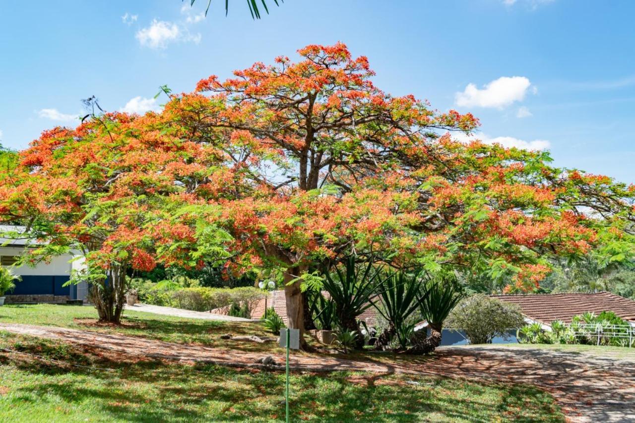 Villa Do Sossego Pousada Lindóia Exterior foto